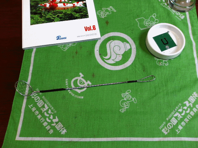 アップロードファイル 72-1.gif