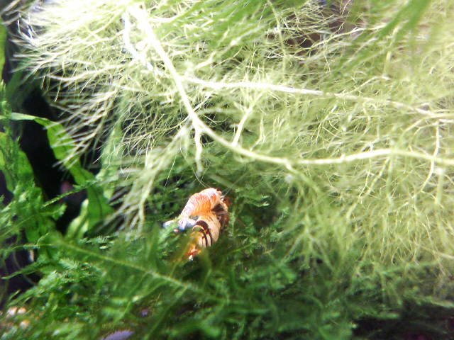 アップロードファイル 73-3.jpg