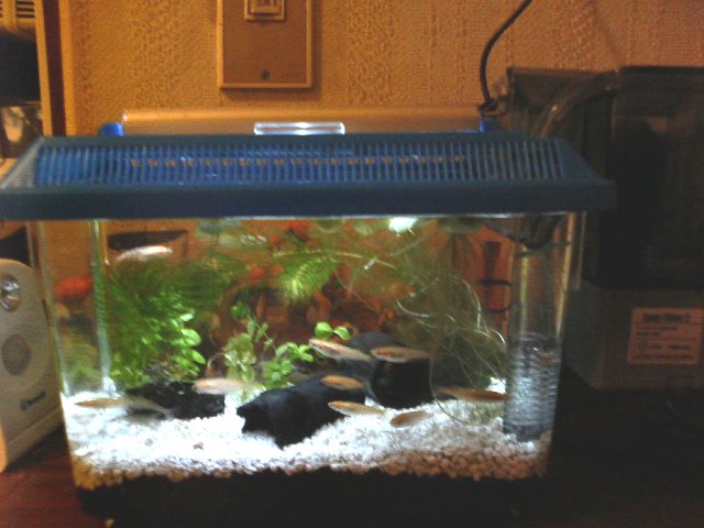 アップロードファイル 74-1.jpg