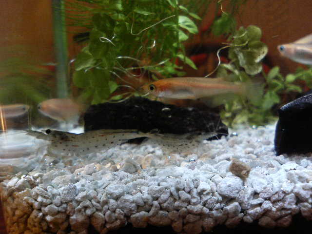 アップロードファイル 74-2.jpg