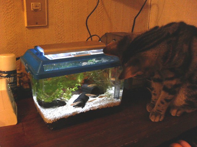 アップロードファイル 74-3.jpg