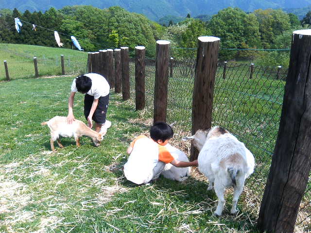 アップロードファイル 75-4.jpg