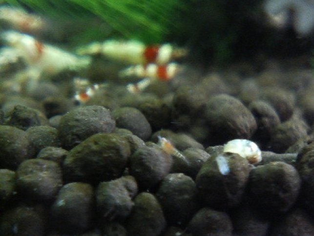 アップロードファイル 76-2.jpg