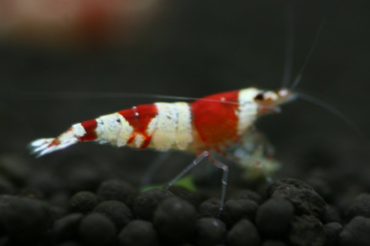 アップロードファイル 79-3.jpg