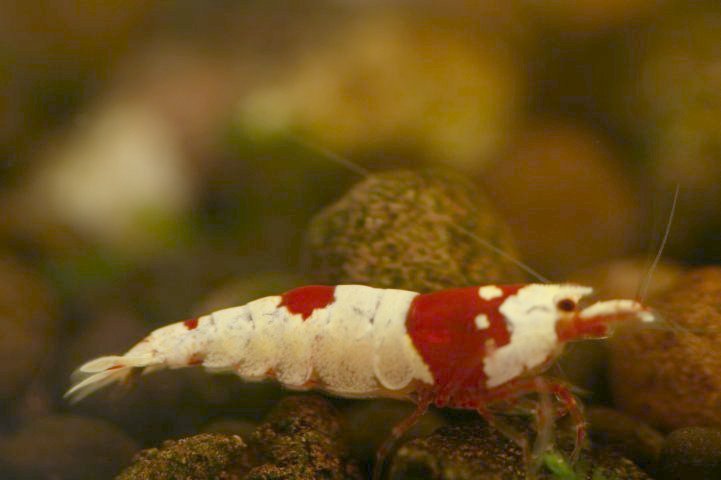 アップロードファイル 79-4.jpg