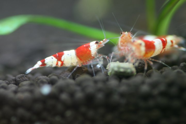 アップロードファイル 79-5.jpg