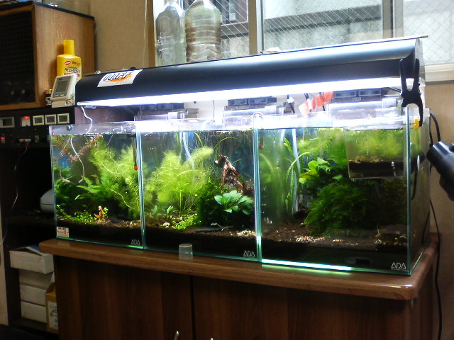 アップロードファイル 89-1.jpg