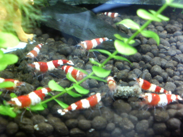 アップロードファイル 89-2.jpg