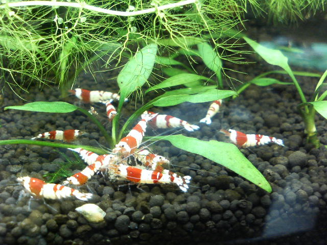 アップロードファイル 89-3.jpg