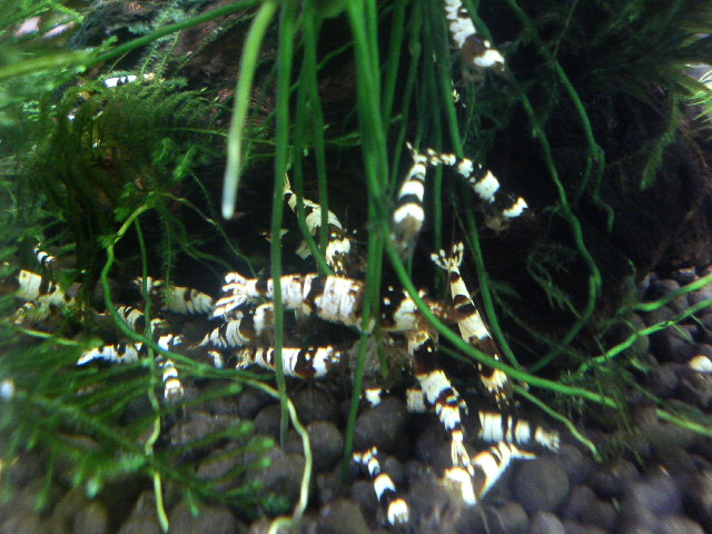 アップロードファイル 89-4.jpg