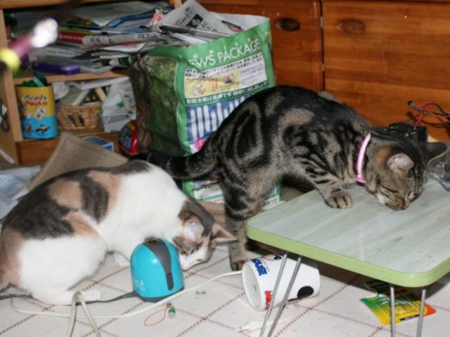 アップロードファイル 90-2.jpg