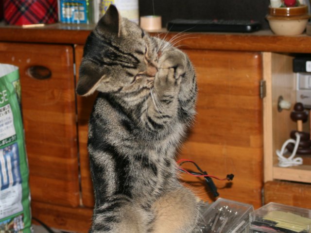 アップロードファイル 90-3.jpg