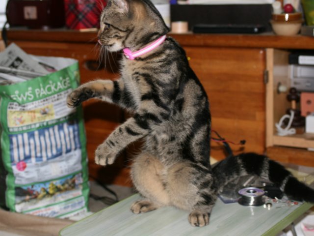 アップロードファイル 90-4.jpg