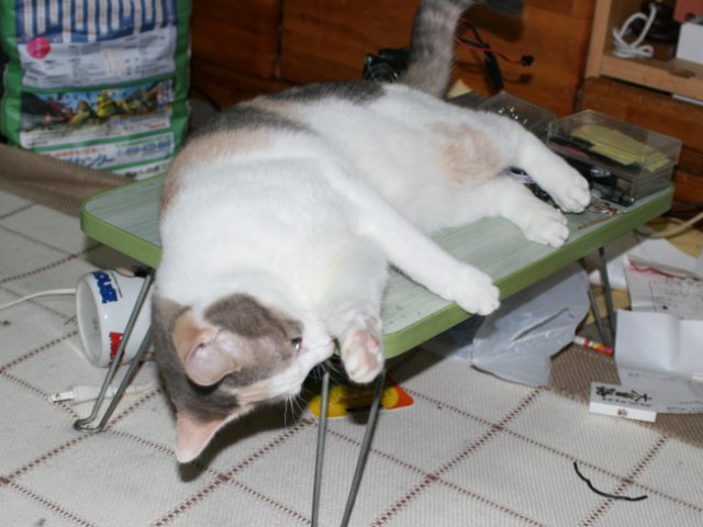 アップロードファイル 90-5.jpg